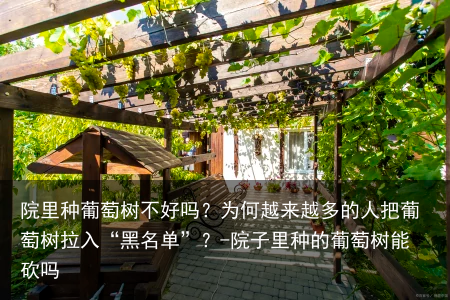 院里种葡萄树不好吗?为何越来越多的人把葡萄树拉入“黑名单”?-院子里种的葡萄树能砍吗