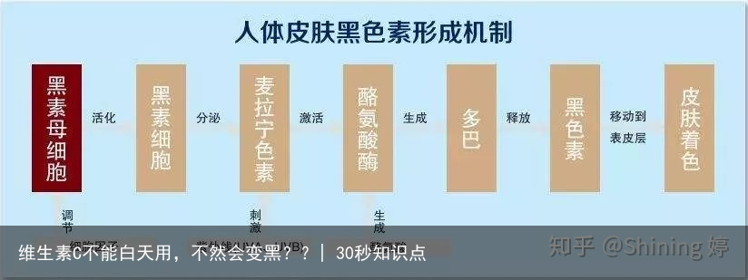 维生素C不能白天用,不然会变黑??| 30秒知识点