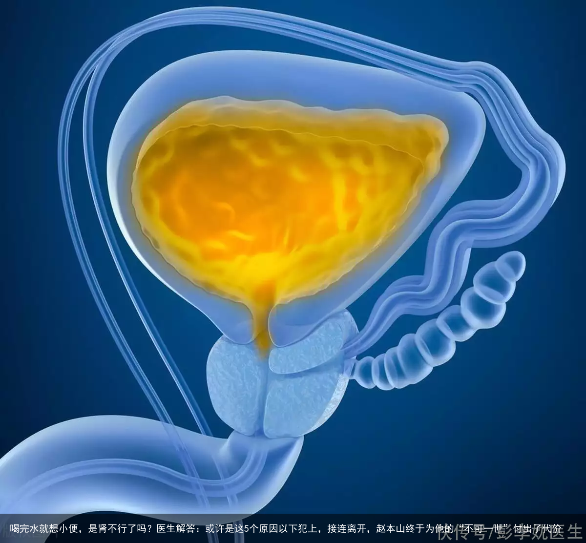 喝完水就想小便,是肾不行了吗?医生解答:或许是这5个原因