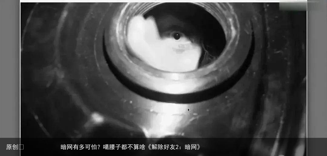 暗网有多可怕?噶腰子都不算啥《解除好友2:暗网》