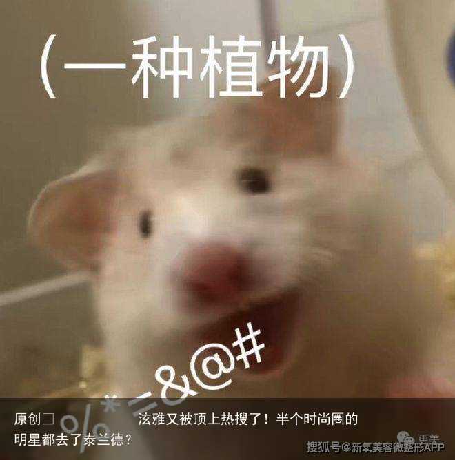 泫雅又被顶上热搜了!半个时尚圈的明星都去了泰兰德?