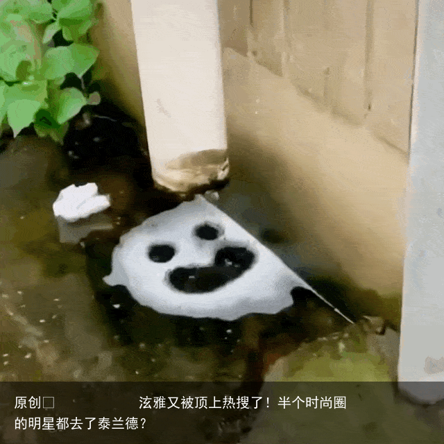 泫雅又被顶上热搜了!半个时尚圈的明星都去了泰兰德?