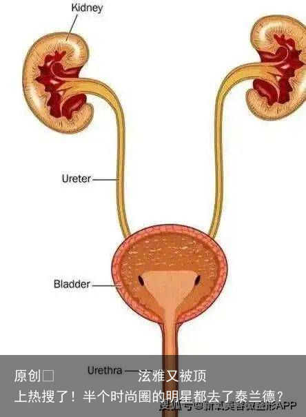 泫雅又被顶上热搜了!半个时尚圈的明星都去了泰兰德?