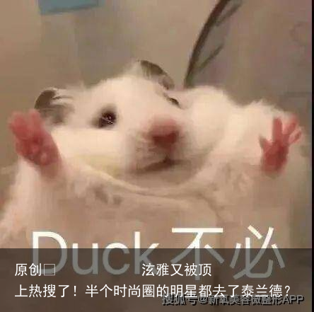 泫雅又被顶上热搜了!半个时尚圈的明星都去了泰兰德?