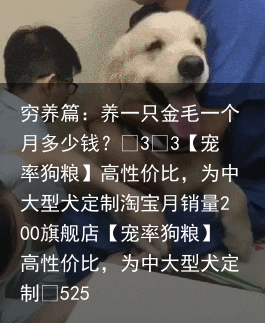 穷养篇:养一只金毛一个月多少钱?