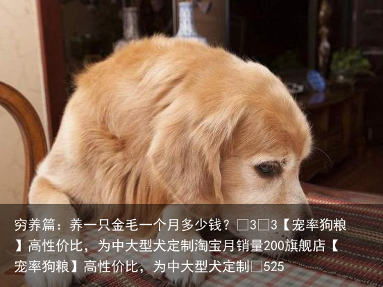 穷养篇:养一只金毛一个月多少钱?
