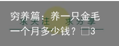 穷养篇:养一只金毛一个月多少钱?