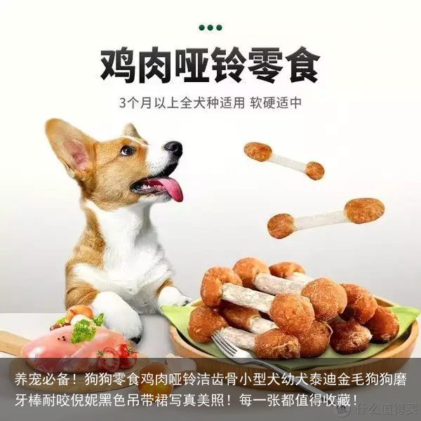 养宠必备!狗狗零食鸡肉哑铃洁齿骨小型犬幼犬泰迪金毛狗狗磨牙棒耐咬