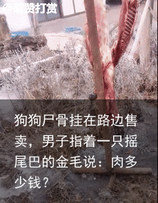 狗狗尸骨挂在路边售卖,男子指着一只摇尾巴的金毛说:肉多少钱?