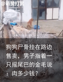 狗狗尸骨挂在路边售卖,男子指着一只摇尾巴的金毛说:肉多少钱?