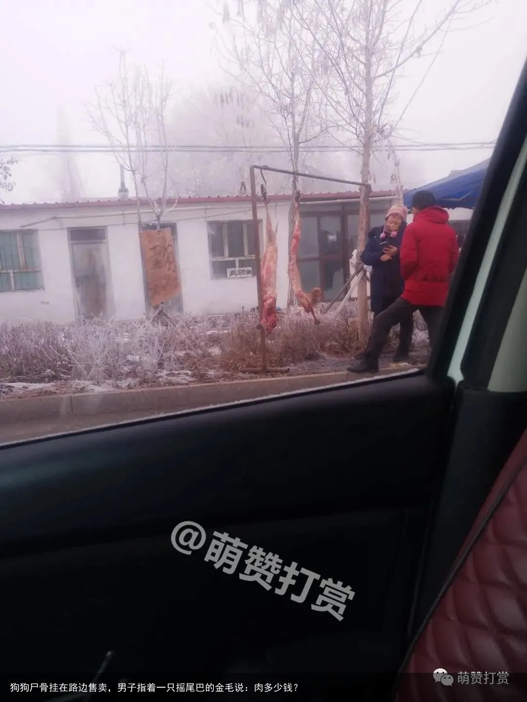 狗狗尸骨挂在路边售卖,男子指着一只摇尾巴的金毛说:肉多少钱?