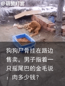 狗狗尸骨挂在路边售卖,男子指着一只摇尾巴的金毛说:肉多少钱?