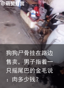 狗狗尸骨挂在路边售卖,男子指着一只摇尾巴的金毛说:肉多少钱?