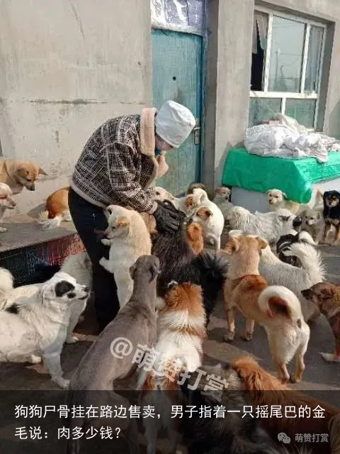 狗狗尸骨挂在路边售卖,男子指着一只摇尾巴的金毛说:肉多少钱?
