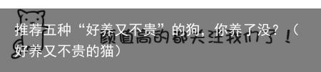推荐五种“好养又不贵”的狗,你养了没?(好养又不贵的猫)