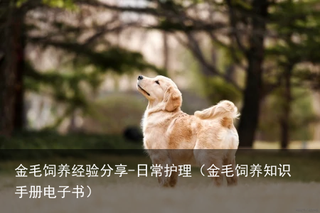 金毛饲养经验分享-日常护理(金毛饲养知识手册电子书)