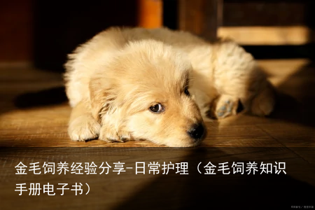 金毛饲养经验分享-日常护理(金毛饲养知识手册电子书)