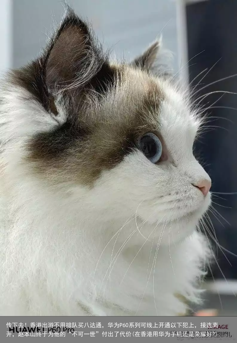 传下去!香港出游不用排队买八达通,华为P60系列可线上开通(在香港用华为手机还是荣耀好?)