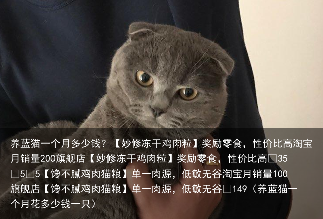 养蓝猫一个月多少钱?(养蓝猫一个月花多少钱一只)