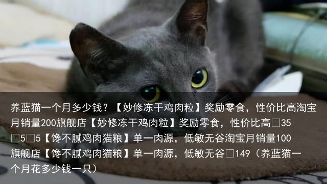养蓝猫一个月多少钱?(养蓝猫一个月花多少钱一只)