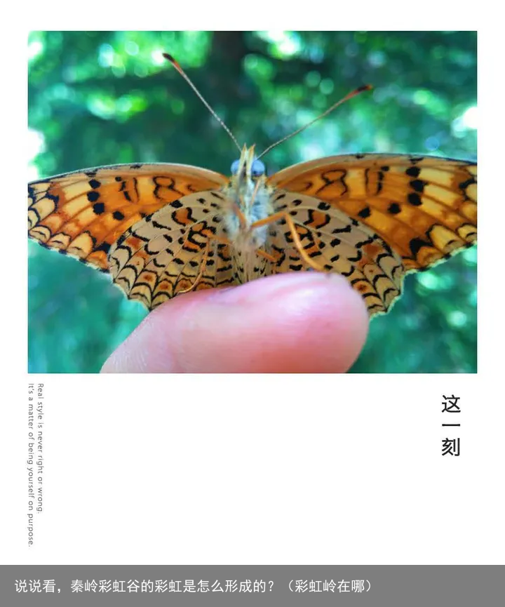 说说看,秦岭彩虹谷的彩虹是怎么形成的?(彩虹岭在哪)