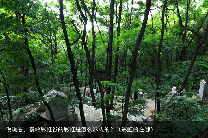 说说看,秦岭彩虹谷的彩虹是怎么形成的?(彩虹岭在哪)