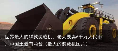 世界最大的10款装载机,老大要卖6千万人民币,中国土豪有两台(最大的装载机图片)