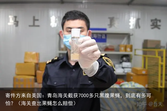 寄件方来自美国:青岛海关截获7000多只黑腹果蝇,到底有多可怕?(海关查出果蝇怎么赔偿)