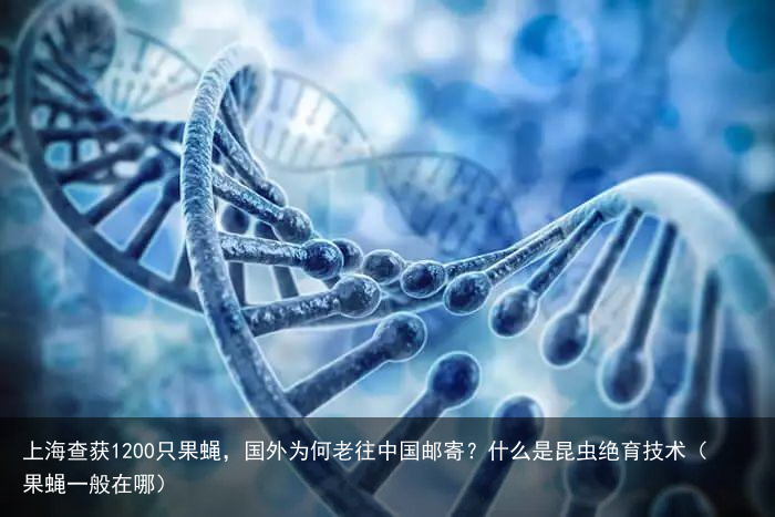 上海查获1200只果蝇,国外为何老往中国邮寄?什么是昆虫绝育技术(果蝇一般在哪)