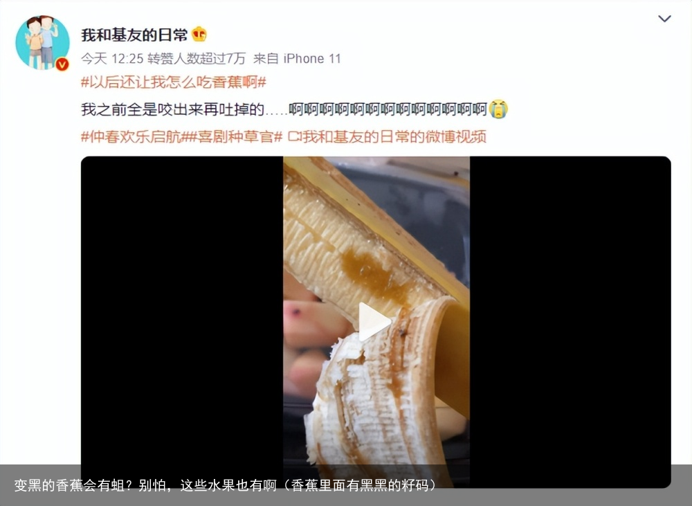 变黑的香蕉会有蛆?别怕,这些水果也有啊(香蕉里面有黑黑的籽码)