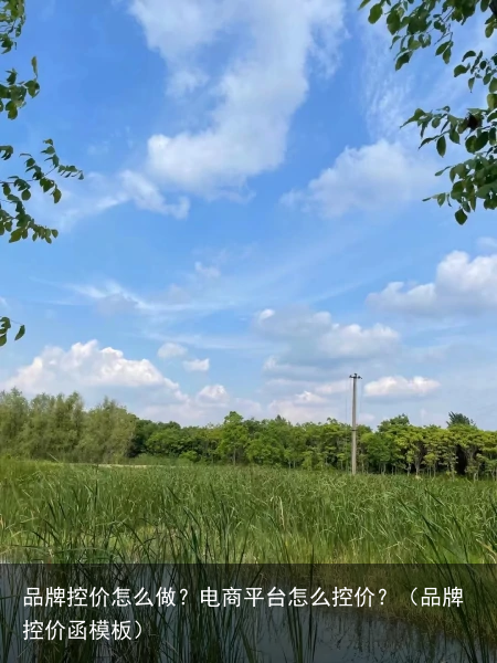 品牌控价怎么做?电商平台怎么控价?(品牌控价函模板)
