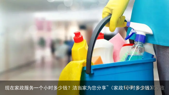 现在家政服务一个小时多少钱?洁当家为您分享~(家政1小时多少钱)