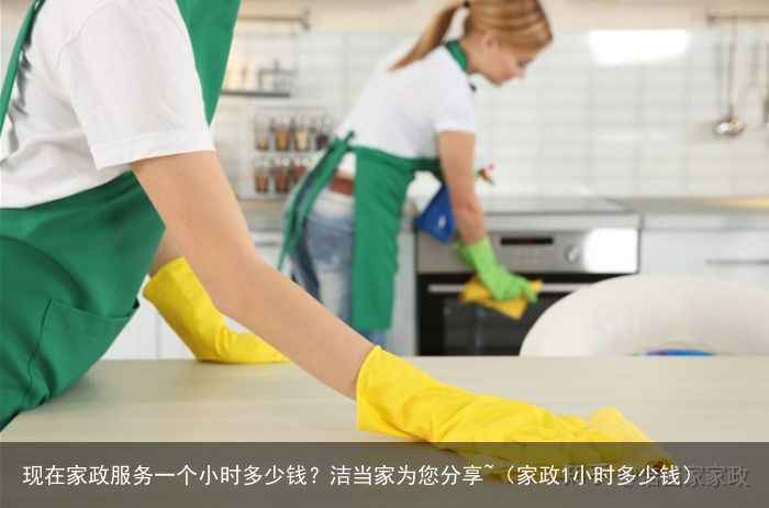 现在家政服务一个小时多少钱?洁当家为您分享~(家政1小时多少钱)