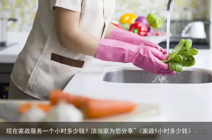 现在家政服务一个小时多少钱?洁当家为您分享~(家政1小时多少钱)