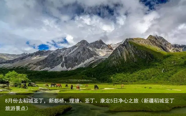 8月份去稻城亚丁,新都桥、理塘、亚丁、康定5日净心之旅(新疆稻城亚丁旅游景点)