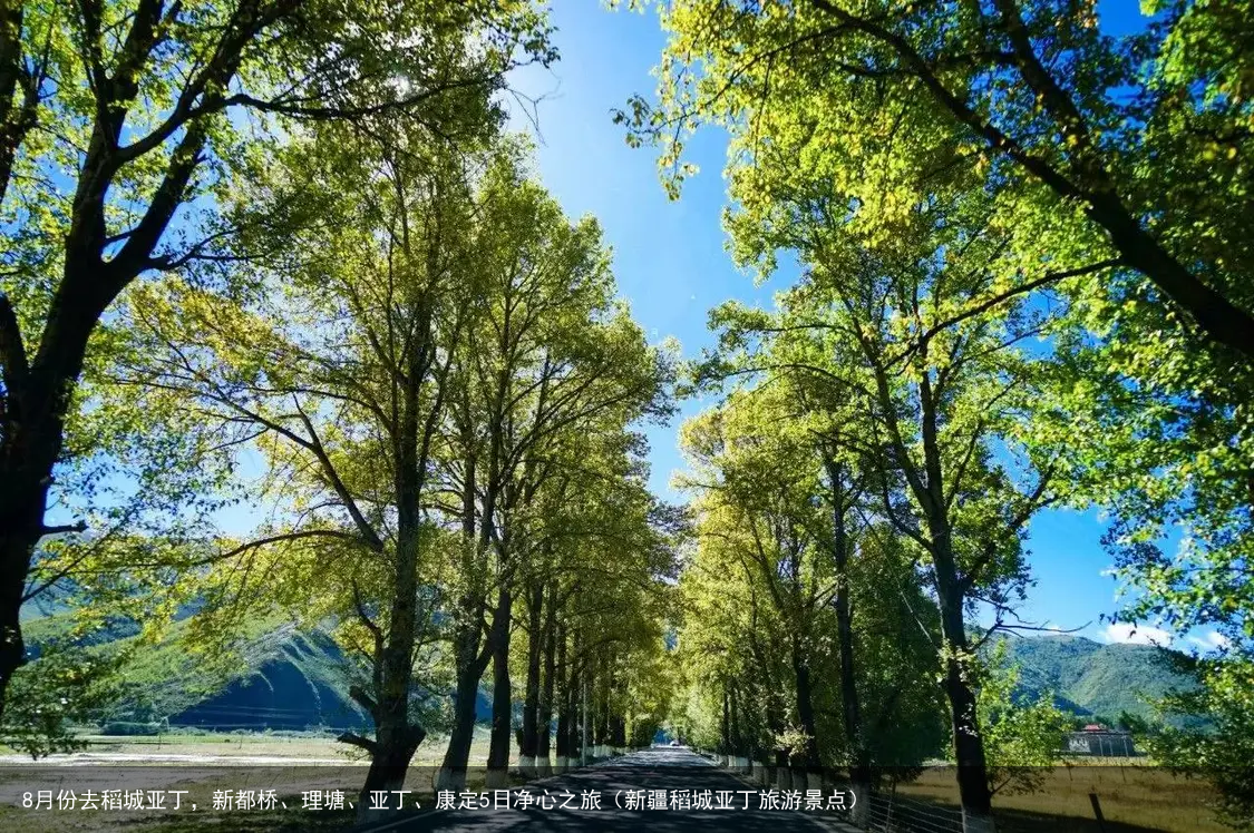 8月份去稻城亚丁,新都桥、理塘、亚丁、康定5日净心之旅(新疆稻城亚丁旅游景点)