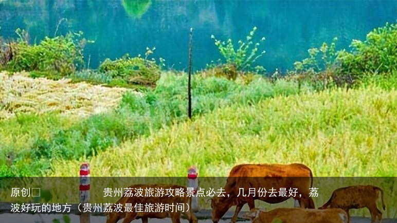 贵州荔波旅游攻略景点必去,几月份去最好,荔波好玩的地方(贵州荔波最佳旅游时间)