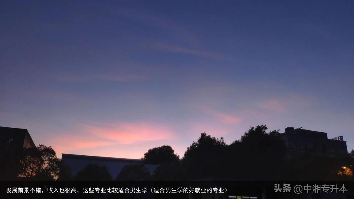 发展前景不错,收入也很高,这些专业比较适合男生学(适合男生学的好就业的专业)