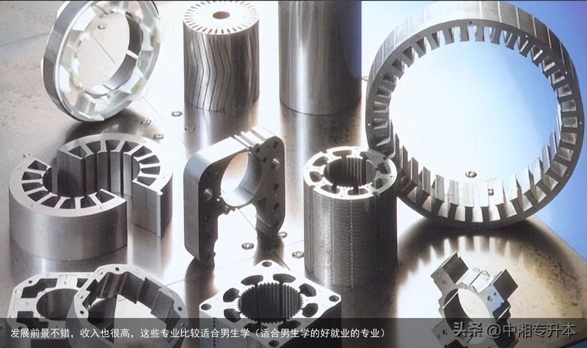 发展前景不错,收入也很高,这些专业比较适合男生学(适合男生学的好就业的专业)