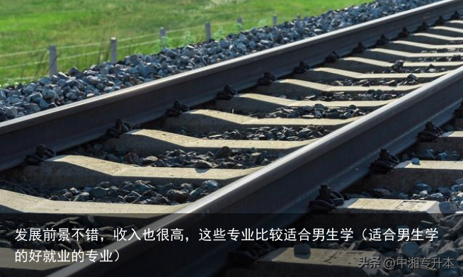 发展前景不错,收入也很高,这些专业比较适合男生学(适合男生学的好就业的专业)