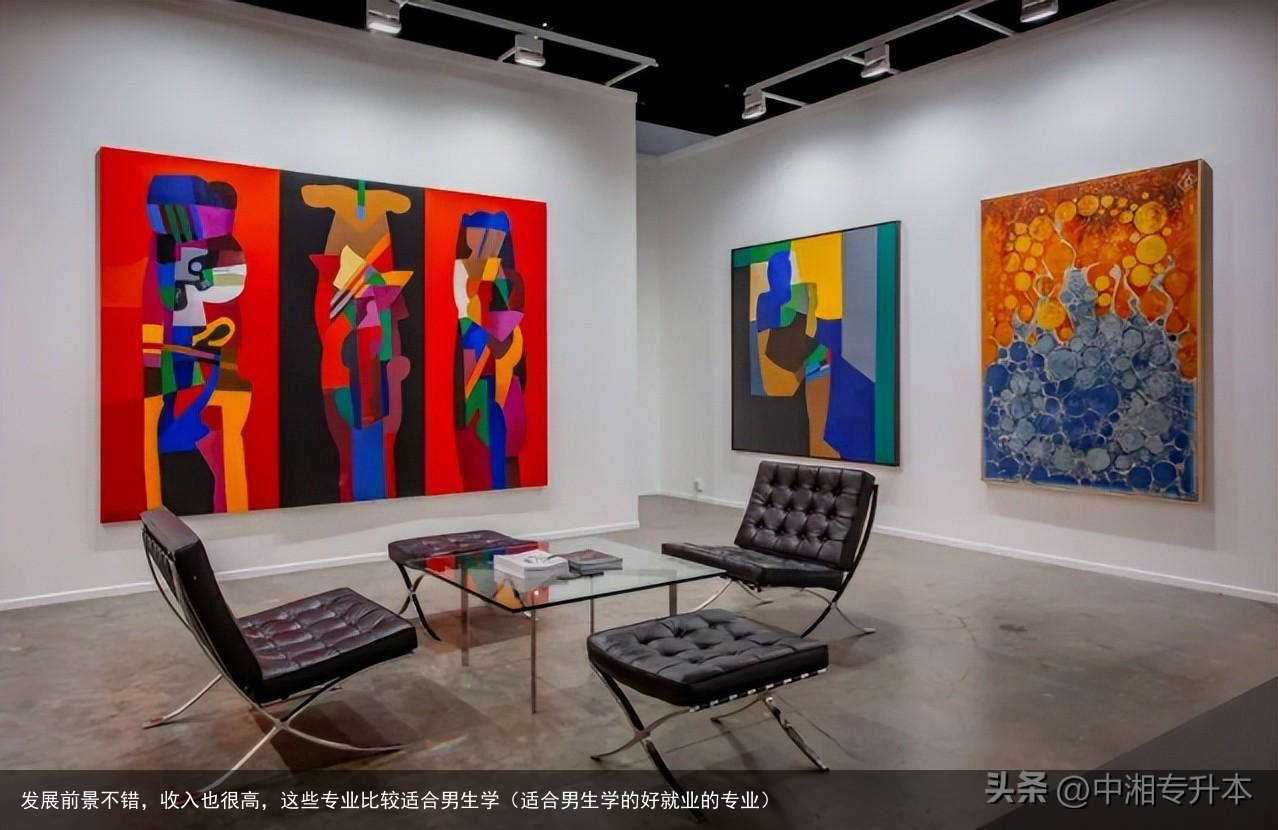 发展前景不错,收入也很高,这些专业比较适合男生学(适合男生学的好就业的专业)