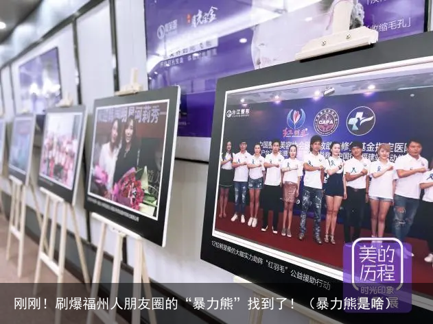 刚刚!刷爆福州人朋友圈的“暴力熊”找到了!(暴力熊是啥)