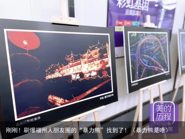刚刚!刷爆福州人朋友圈的“暴力熊”找到了!(暴力熊是啥)