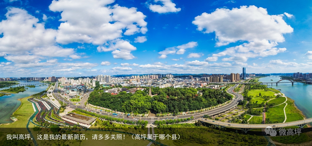 我叫高坪,这是我的最新简历,请多多关照!(高坪属于哪个县)