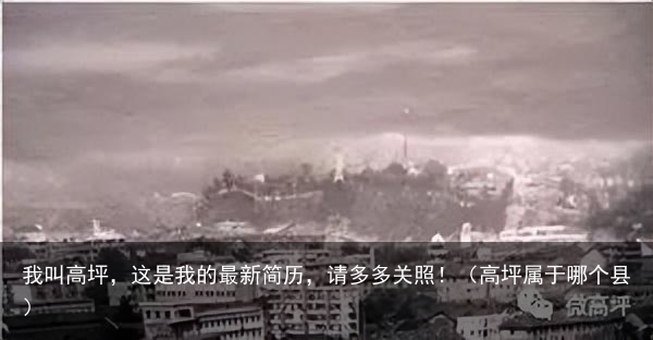 我叫高坪,这是我的最新简历,请多多关照!(高坪属于哪个县)