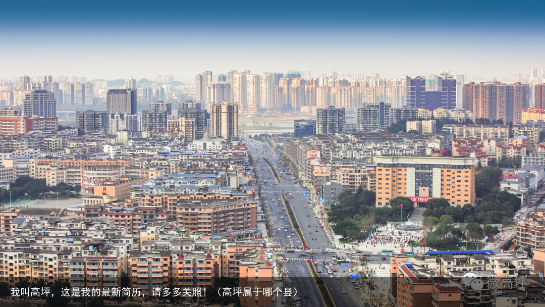我叫高坪,这是我的最新简历,请多多关照!(高坪属于哪个县)
