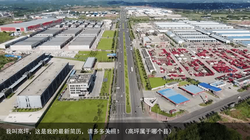 我叫高坪,这是我的最新简历,请多多关照!(高坪属于哪个县)