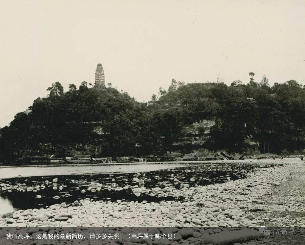 我叫高坪,这是我的最新简历,请多多关照!(高坪属于哪个县)