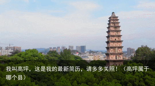 我叫高坪,这是我的最新简历,请多多关照!(高坪属于哪个县)