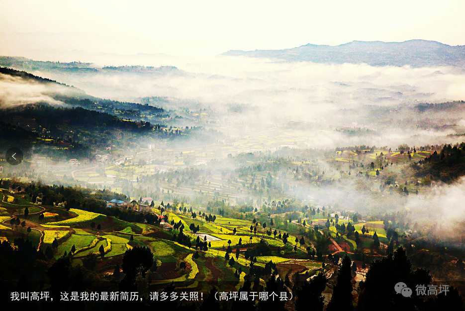 我叫高坪,这是我的最新简历,请多多关照!(高坪属于哪个县)